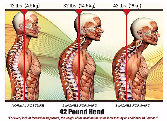 Neck & Shoulder Reset session thumbnail