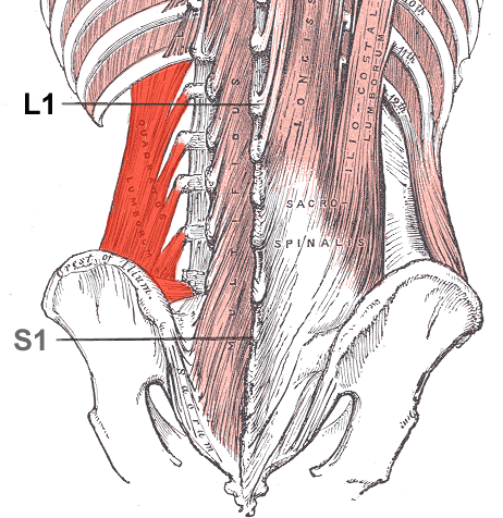Elevated side QL
